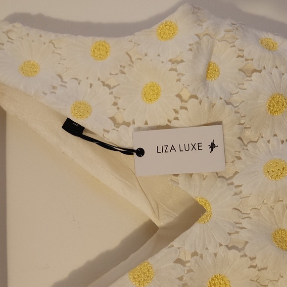 Modcloth Liza Luxe Daisy Dress - Picture 7 of 9